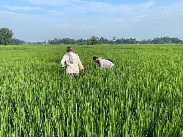 476823645 594989403449476 4981758571573170280 n