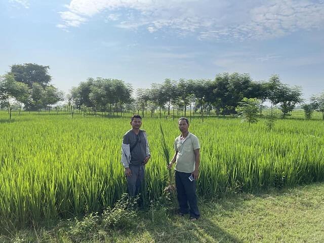 476965065 594989770116106 4995518678926841633 n