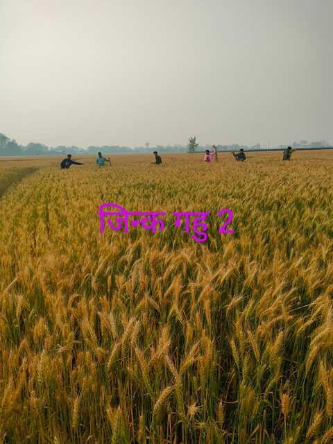 470240433 552787224336361 3118245949106189577 n