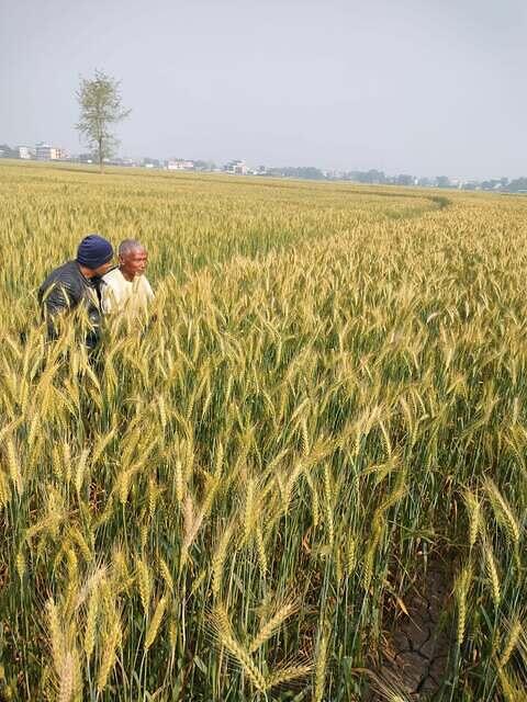 476859797 617947994486950 9098769759130376202 n