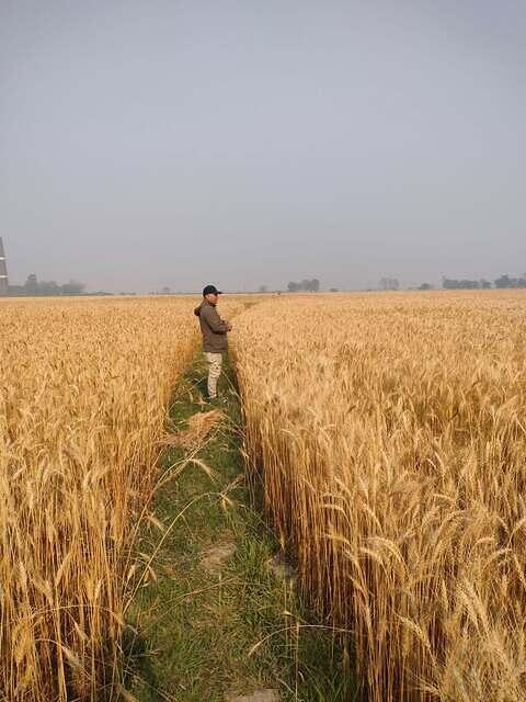 486958538 628124360135980 596685039564254590 n