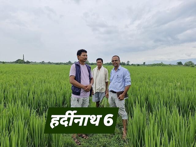 539460528 747056754909406 1366288161040337010 n