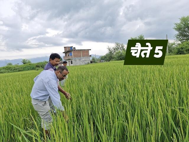 539613002 747094204905661 1545826870354816355 n