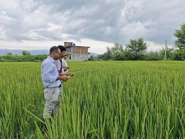 540003341 747057421576006 1613161843376037553 n