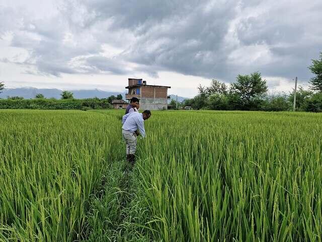 540273318 747093774905704 1148457648361735079 n