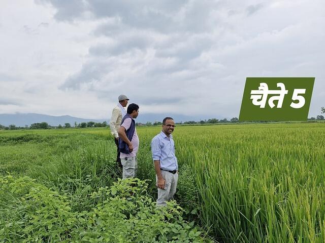 540395306 747056371576111 979702000628448185 n