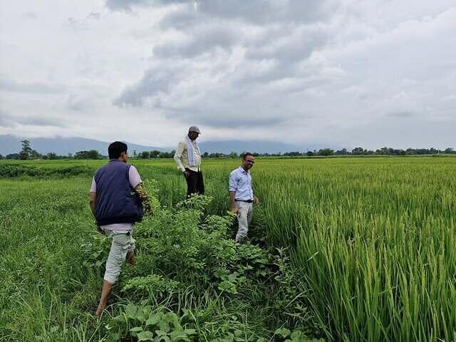 540963208 747056618242753 54352842270314324 n