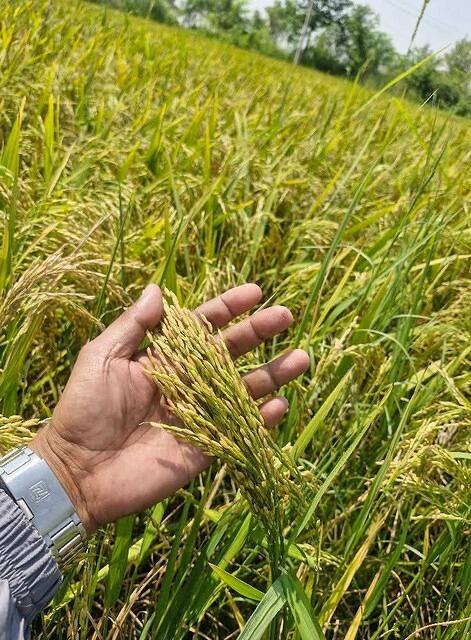 FB IMG 1749295377421