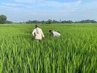 476823645 594989403449476 4981758571573170280 n