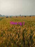 470240433 552787224336361 3118245949106189577 n