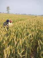 476859797 617947994486950 9098769759130376202 n