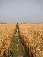 486958538 628124360135980 596685039564254590 n