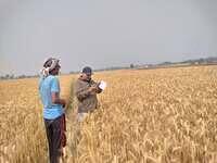 487078101 628124173469332 2065629883026473020 n