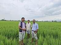 Rice Crop Field Survey