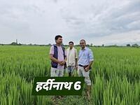 539460528 747056754909406 1366288161040337010 n