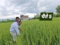 539613002 747094204905661 1545826870354816355 n