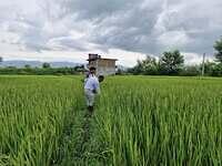 540273318 747093774905704 1148457648361735079 n