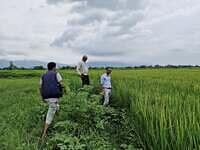 540963208 747056618242753 54352842270314324 n