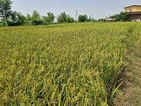 FB IMG 1749295374237