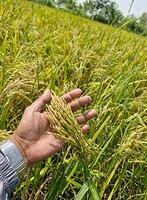 FB IMG 1749295377421