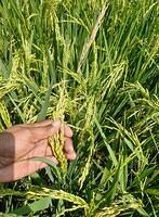 FB IMG 1749295380708